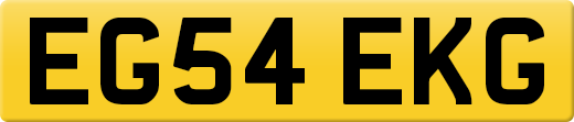 EG54EKG